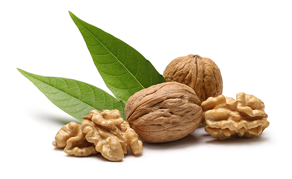 walnuts-with-leaves-isolated-on-white-background